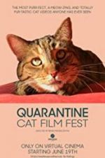 Watch Quarantine Cat Film Fest Vodly