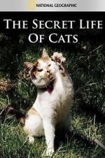 Watch The Secret Life of Cats Vodly