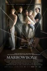 Watch The Secret of Marrowbone Vodly