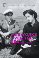 Watch Fireworks Over the Sea Vodly