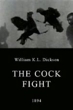 Watch The Cock Fight Vodly