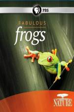 Watch Nature: Fabulous Frogs Vodly