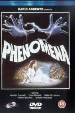 Watch Phenomena Vodly