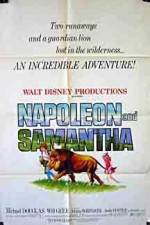 Watch Napoleon and Samantha Vodly