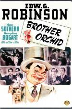 Watch Brother Orchid Vodly