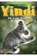 Watch Yindi the Last Koala Vodly