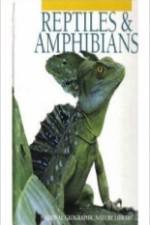 Watch Reptiles and Amphibians Vodly