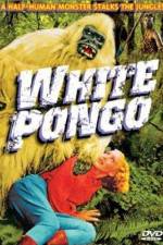 Watch White Pongo Vodly