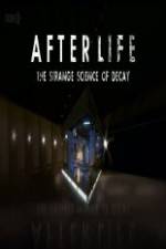 Watch After Life: The strange Science Of Decay Vodly