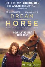 Watch Dream Horse Vodly