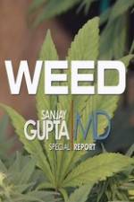 Watch CNN Weed Sanjay Gupta Report Vodly