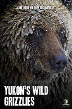 Watch Yukon\'s Wild Grizzlies Vodly