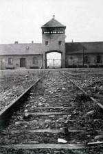 Watch AUSCHWITZ: FRENZIED KILLING Vodly