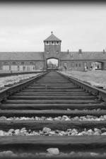 Watch AUSCHWITZ: ORDERS AND INITIATIVES Vodly