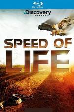 Watch Speed of Life Vodly