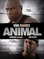 Watch Animal Vodly