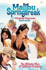 Watch Malibu Spring Break Vodly