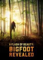 Watch A Flash of Beauty: Bigfoot Revealed Vodly