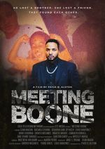 Watch Meeting Boone Vodly