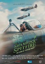 Watch The Shamrock Spitfire Vodly