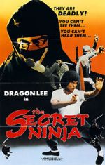 Watch Secret Ninja Vodly