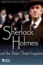 Watch Sherlock Holmes and the Baker Street Irregulars Vodly