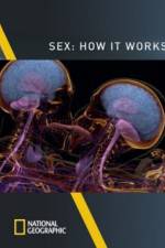 Watch Sex How It Works Vodly