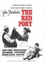 Watch The Red Pony Vodly