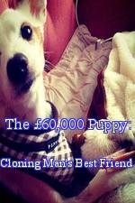 Watch The 60,000 Puppy: Cloning Man's Best Friend Vodly