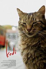 Watch Kedi Vodly