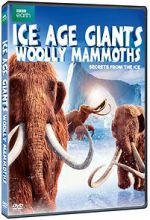 Watch Woolly Mammoth: Secrets from the Ice Vodly