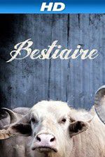 Watch Bestiaire Vodly