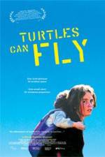 Watch Turtles Can Fly Vodly