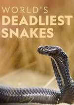 Watch World's Deadliest Snakes Vodly