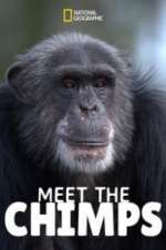 Watch Meet the Chimps Vodly