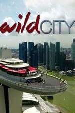 Watch Wild City Vodly