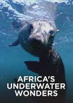 Watch Africa's Underwater Wonders Vodly