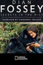 Watch Dian Fossey: Secrets in the Mist Vodly