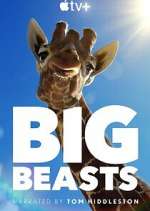 Watch Big Beasts Vodly