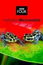 Watch Natures Microworlds Vodly