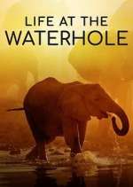 Watch Life at the Waterhole Vodly