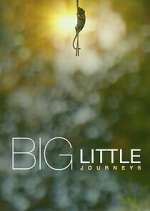 Watch Big Little Journeys Vodly