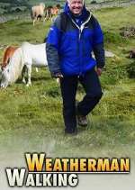 Watch Weatherman Walking Vodly