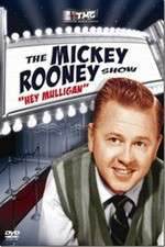 Watch The Mickey Rooney Show Vodly