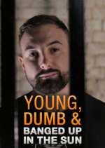 Watch Young Dumb & Banged Up in the Sun Vodly