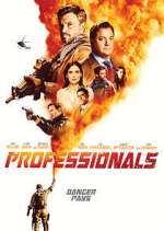 professionals tv poster