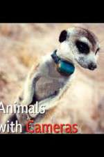 Watch Animals with Cameras Vodly