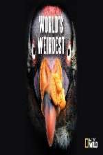 Watch National Geographic Worlds weirdest Vodly