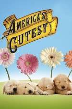 Watch America's Cutest Vodly