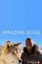 Watch Amazing Dogs Vodly
